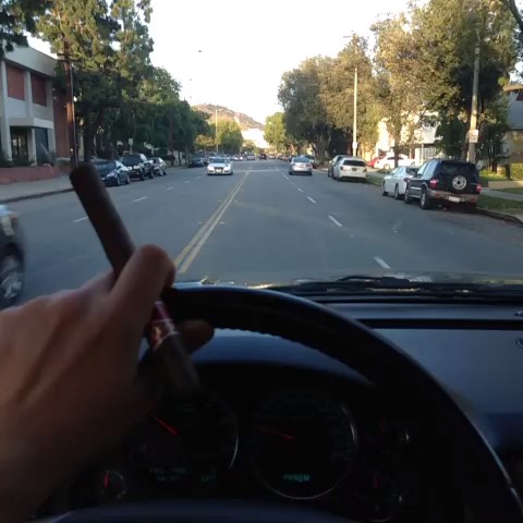 vine by Will Sasso