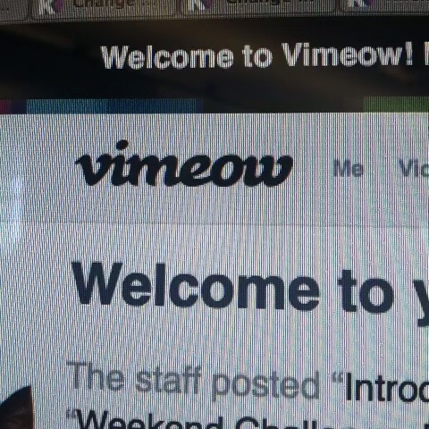 Rachel Wise's post on Vine