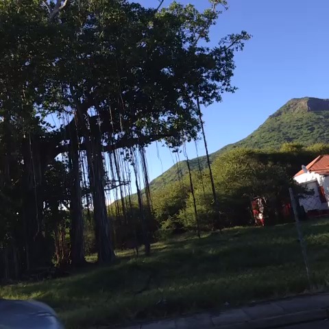 Jgsestier's post on Vine