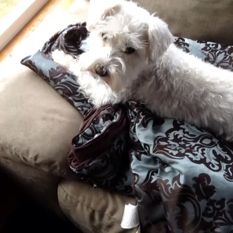 QueenofHOPE's post on Vine