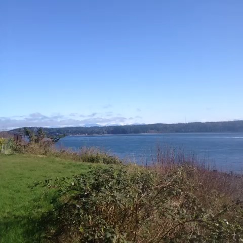Dave Reynolds's post on Vine