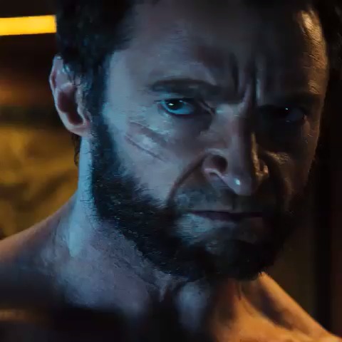 The Wolverine's post on Vine