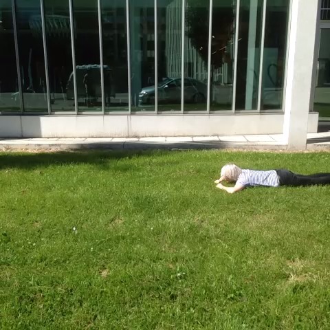 Krippe planking 2.0. C: #loop #worm