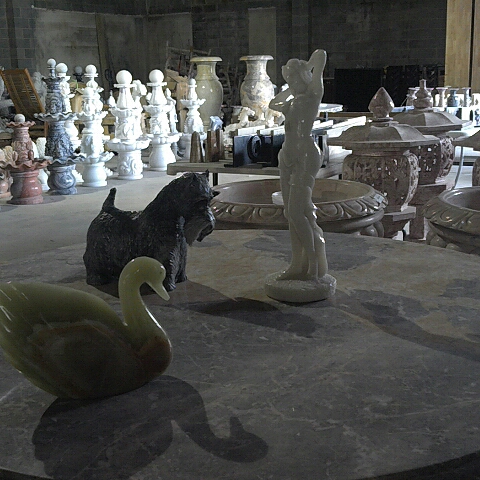 Swan vs. dog vs. dancer #stopmotion #loop #marketing